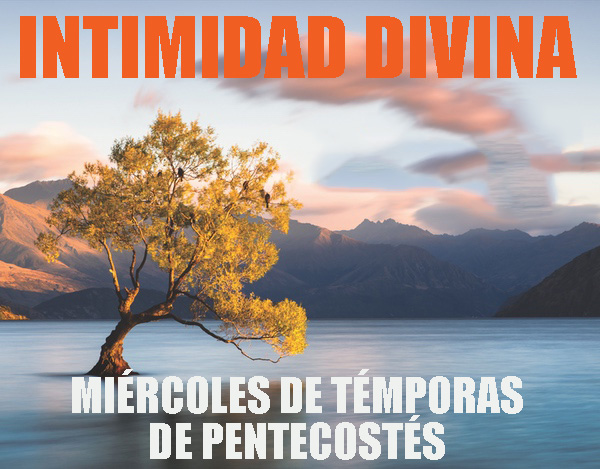 Imagen Podcast