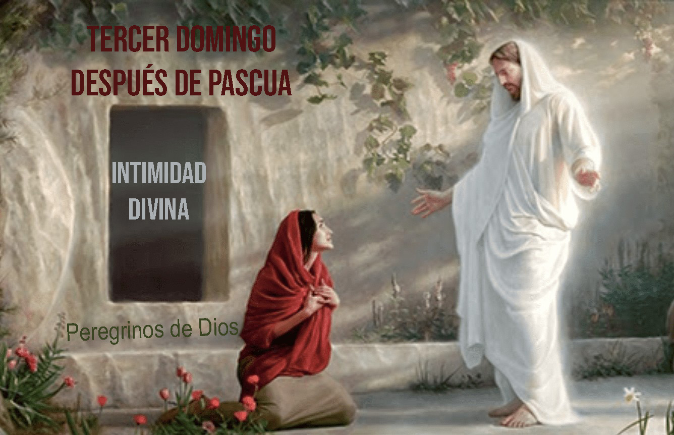 Imagen Podcast