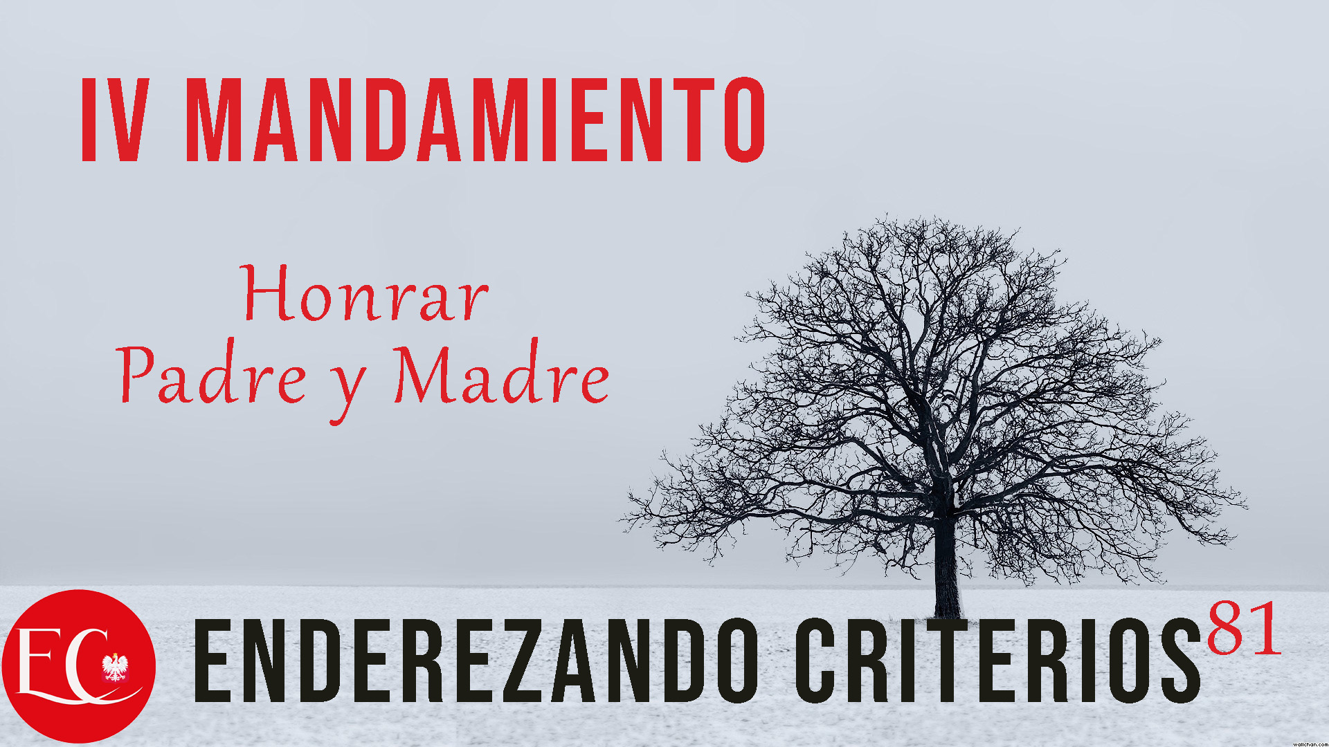 Imagen Podcast