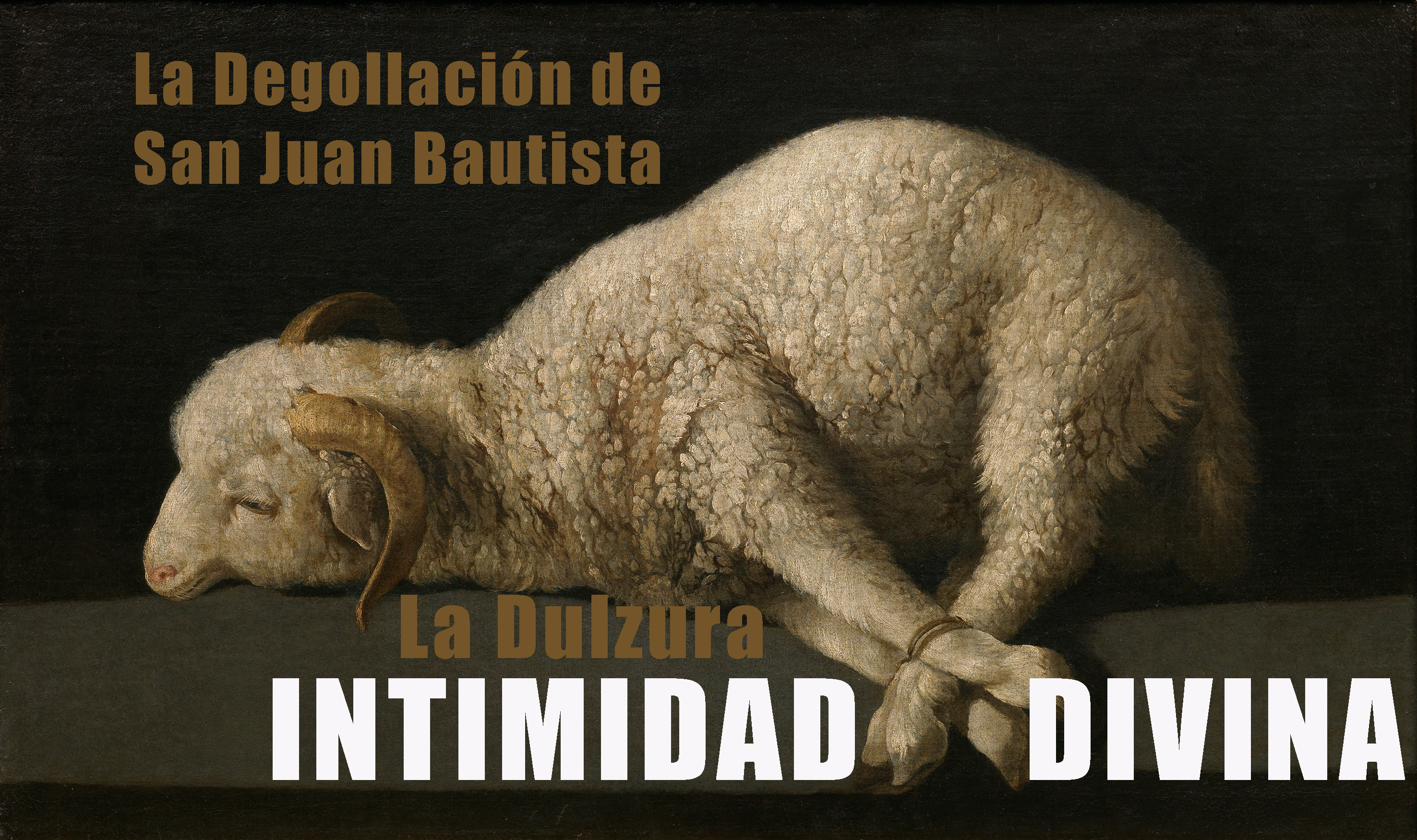 Imagen Podcast