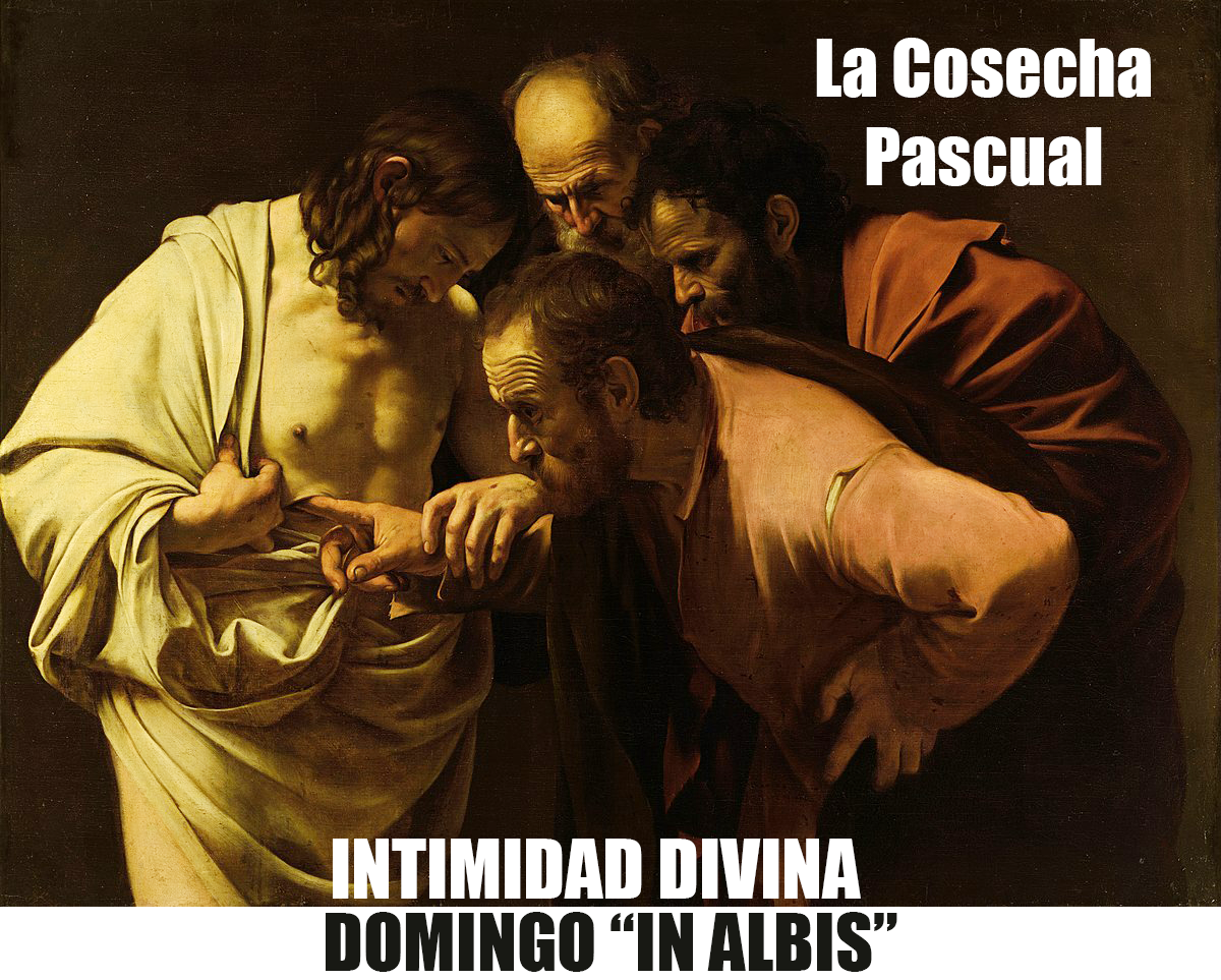 Imagen Podcast
