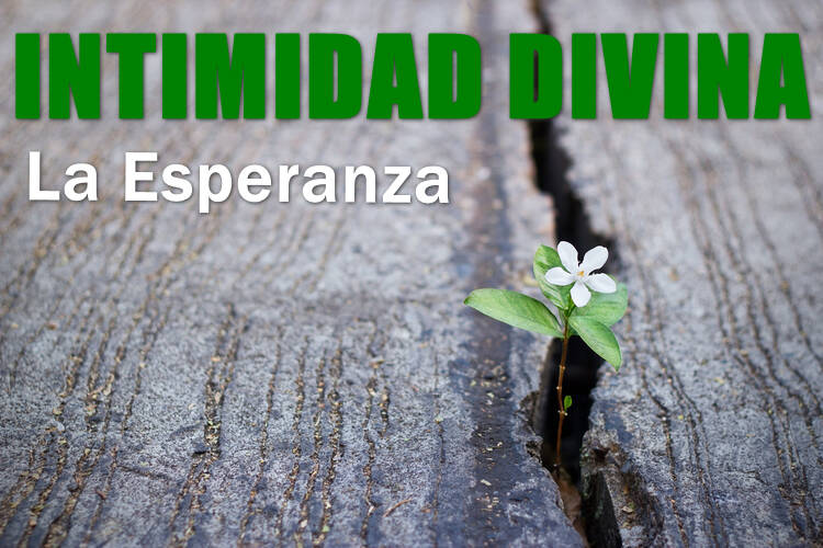 Imagen Podcast